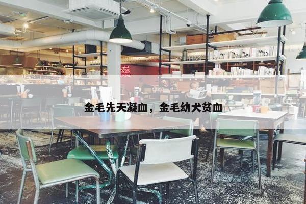金毛先天凝血，金毛幼犬贫血