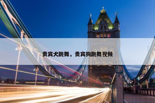 贵宾犬跳舞,贵宾狗跳舞视频