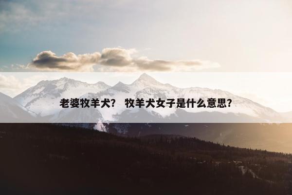 中型 第2页
