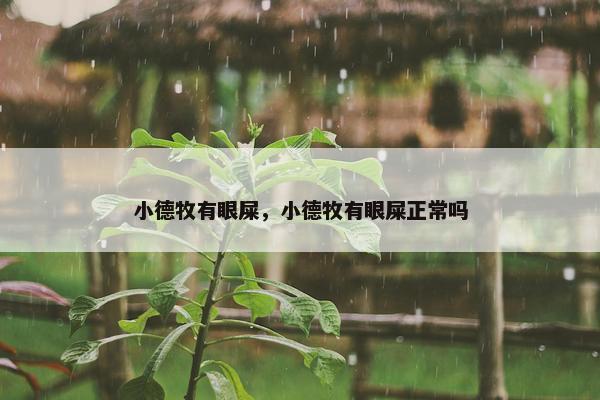 小德牧有眼屎，小德牧有眼屎正常吗