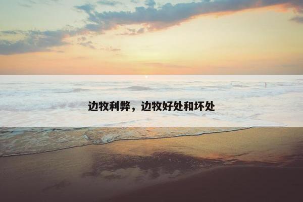 边牧利弊，边牧好处和坏处