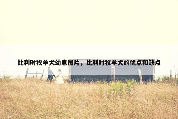 比利时牧羊犬幼崽图片，比利时牧羊犬的优点和缺点