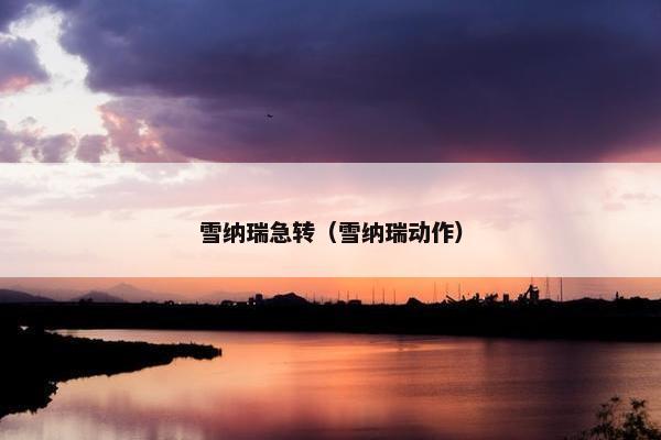 雪纳瑞急转（雪纳瑞动作）