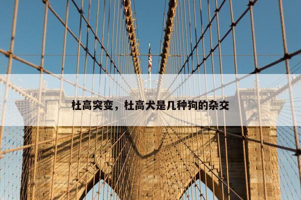 杜高突变，杜高犬是几种狗的杂交