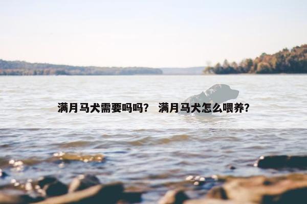 满月马犬需要吗吗？ 满月马犬怎么喂养？