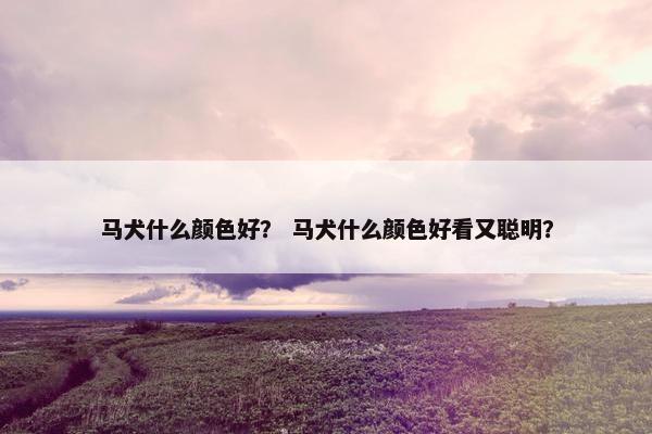 浅黄