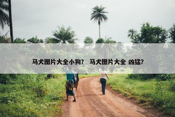 马犬图片大全小狗？ 马犬图片大全 凶猛？