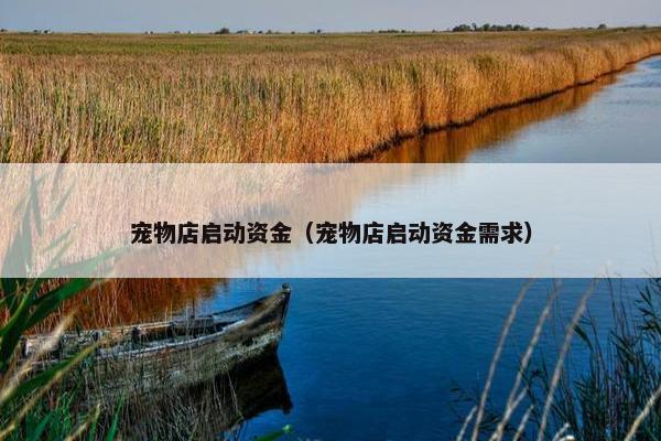 宠物店启动资金(宠物店启动资金需求)