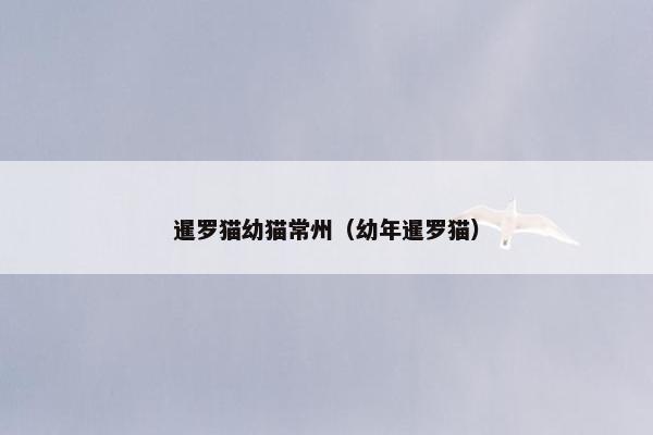 暹罗猫幼猫常州（幼年暹罗猫）
