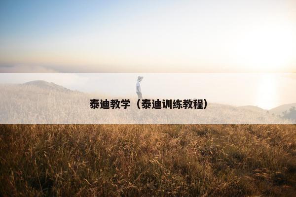 泰迪教学（泰迪训练教程）