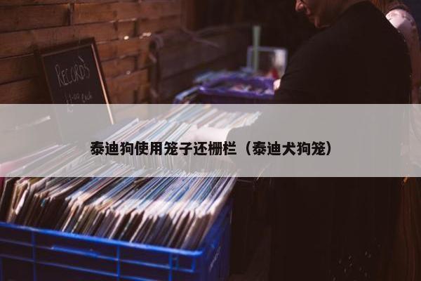 泰迪狗使用笼子还栅栏(泰迪犬狗笼)