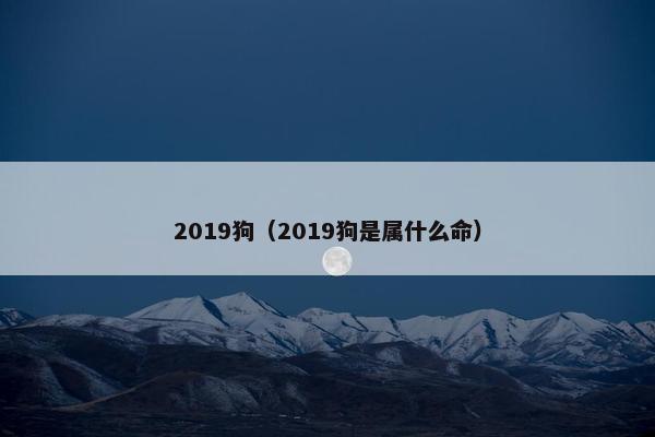 2019狗（2019狗是属什么命）