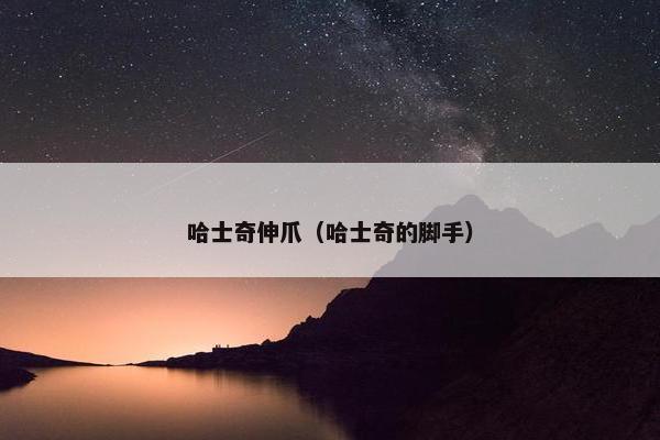 哈士奇伸爪（哈士奇的脚手）