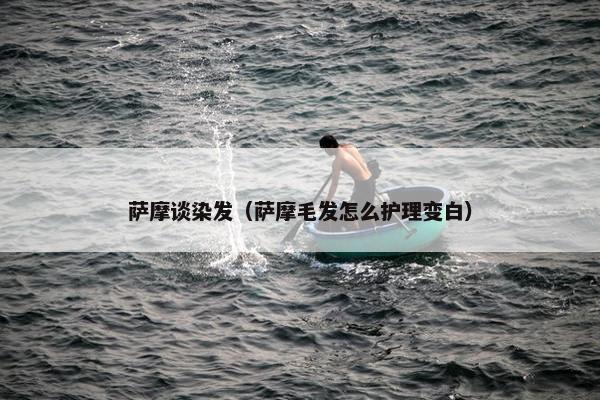 萨摩谈染发（萨摩毛发怎么护理变白）