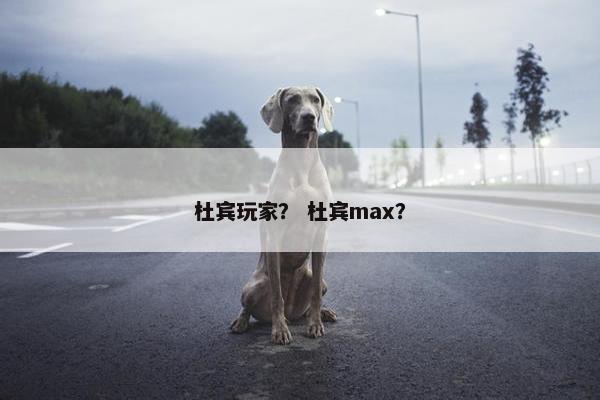 杜宾玩家？ 杜宾max？