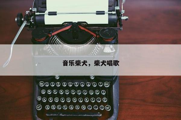 音乐柴犬，柴犬唱歌