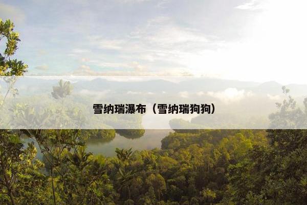 雪纳瑞瀑布（雪纳瑞狗狗）