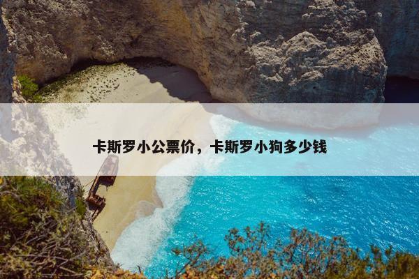卡斯罗小公票价，卡斯罗小狗多少钱