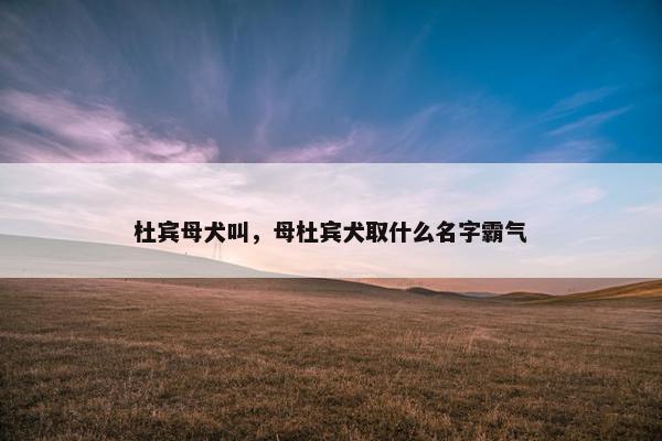 杜宾母犬叫，母杜宾犬取什么名字霸气