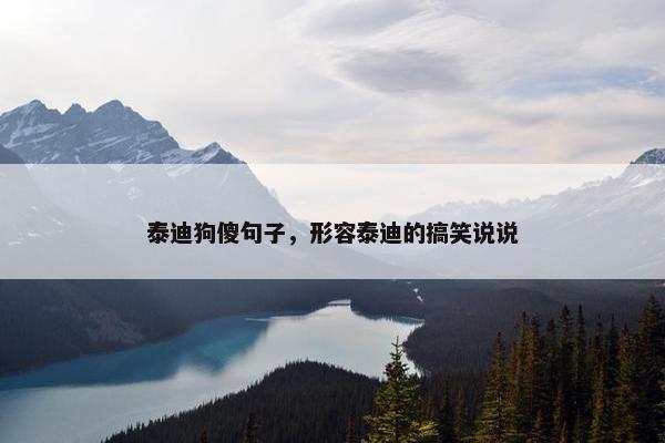 泰迪狗傻句子,形容泰迪的搞笑说说