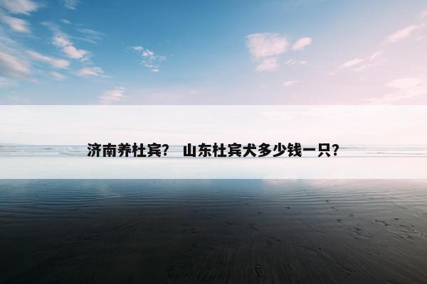 杜宾 第43页