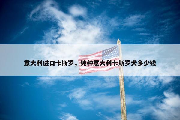 意大利进口卡斯罗，纯种意大利卡斯罗犬多少钱