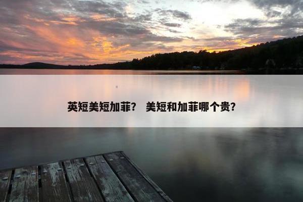 英短美短加菲？ 美短和加菲哪个贵？