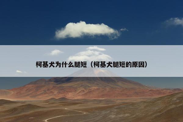 柯基犬为什么腿短（柯基犬腿短的原因）
