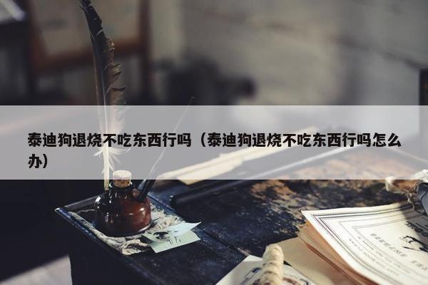 泰迪狗退烧不吃东西行吗（泰迪狗退烧不吃东西行吗怎么办）