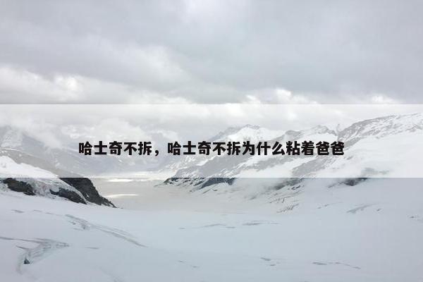 哈士奇不拆,哈士奇不拆为什么粘着爸爸