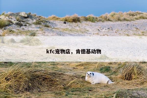 kfc宠物店,肯德基动物