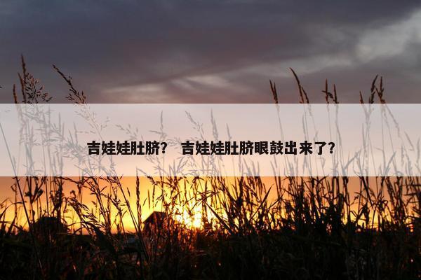 吉娃娃肚脐？ 吉娃娃肚脐眼鼓出来了？