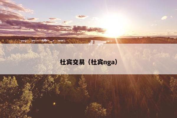 杜宾交易（杜宾nga）