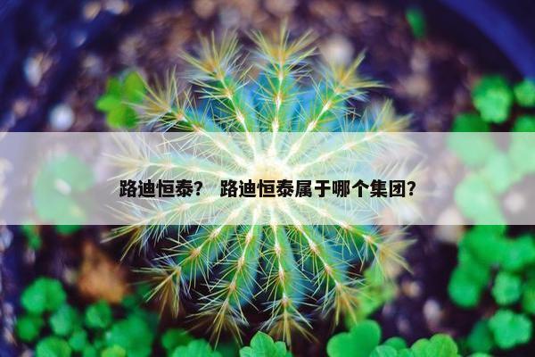 路迪恒泰？ 路迪恒泰属于哪个集团？