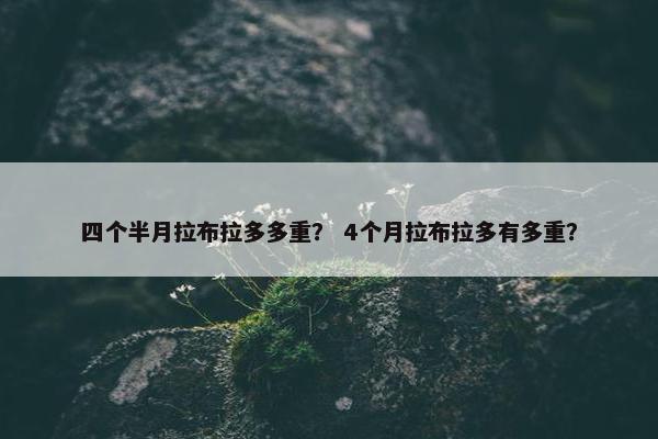 四个半月拉布拉多多重？ 4个月拉布拉多有多重？