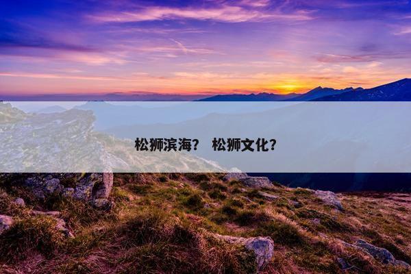 松狮滨海？ 松狮文化？