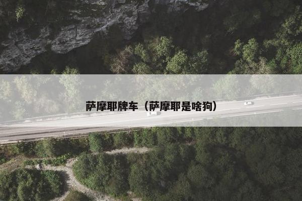 萨摩耶牌车（萨摩耶是啥狗）
