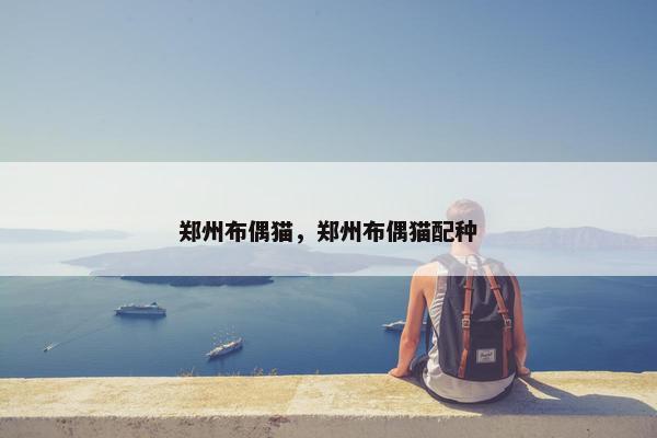 郑州布偶猫，郑州布偶猫配种