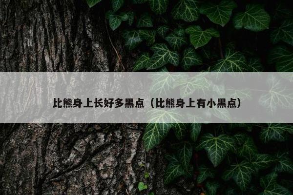 比熊身上长好多黑点（比熊身上有小黑点）
