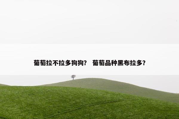 葡萄拉不拉多狗狗？ 葡萄品种黑布拉多？