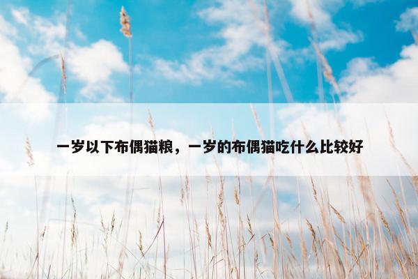 一岁以下布偶猫粮，一岁的布偶猫吃什么比较好