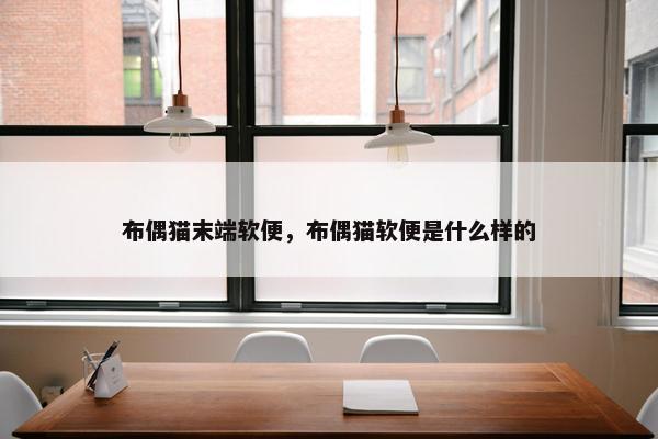 布偶猫末端软便，布偶猫软便是什么样的