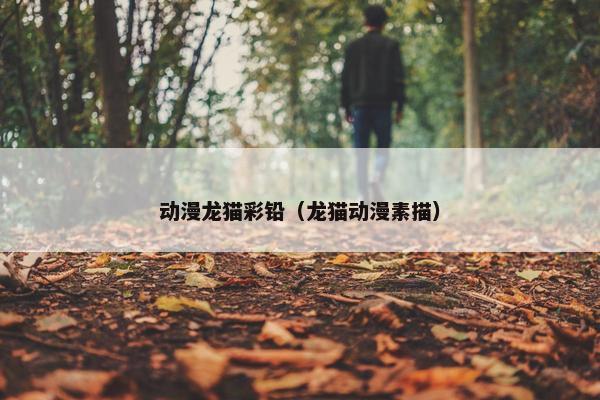 动漫龙猫彩铅（龙猫动漫素描）