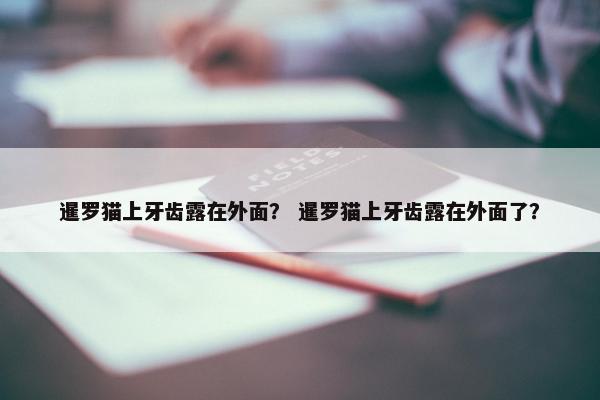 暹罗猫上牙齿露在外面? 暹罗猫上牙齿露在外面了?
