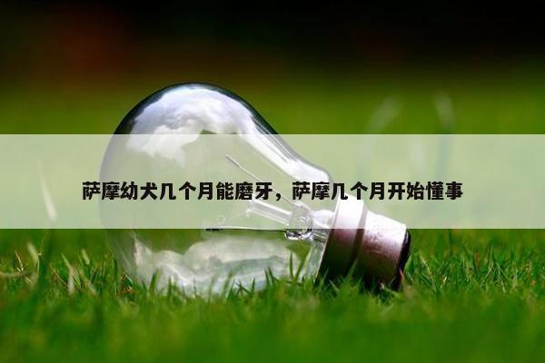 萨摩幼犬几个月能磨牙，萨摩几个月开始懂事