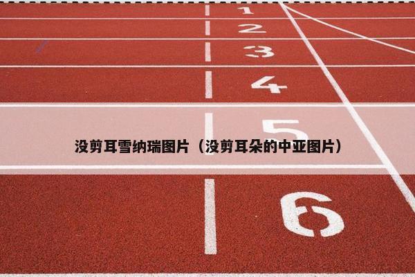 没剪耳雪纳瑞图片（没剪耳朵的中亚图片）