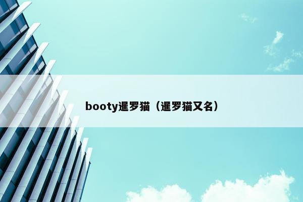 booty暹罗猫（暹罗猫又名）