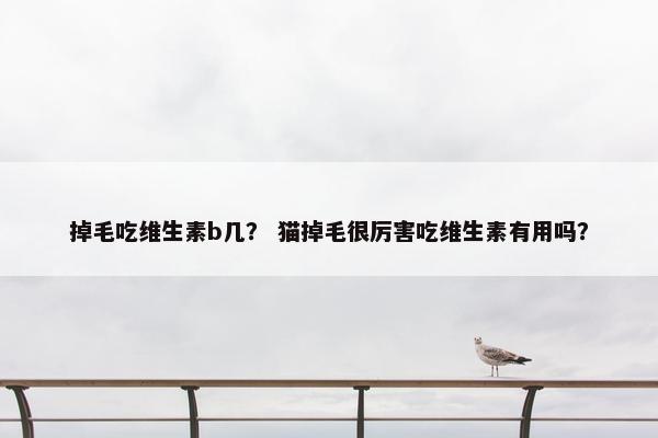 掉毛吃维生素b几？ 猫掉毛很厉害吃维生素有用吗？