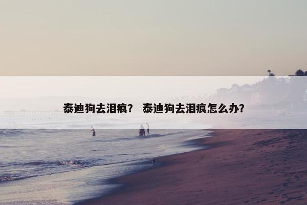 泰迪狗去泪痕？ 泰迪狗去泪痕怎么办？
