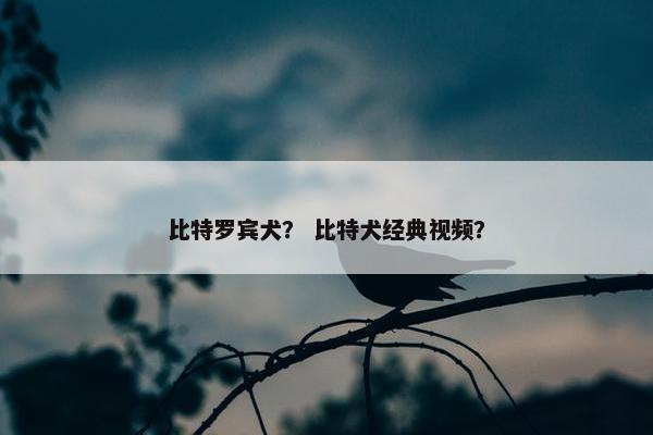 比特罗宾犬？ 比特犬经典视频？